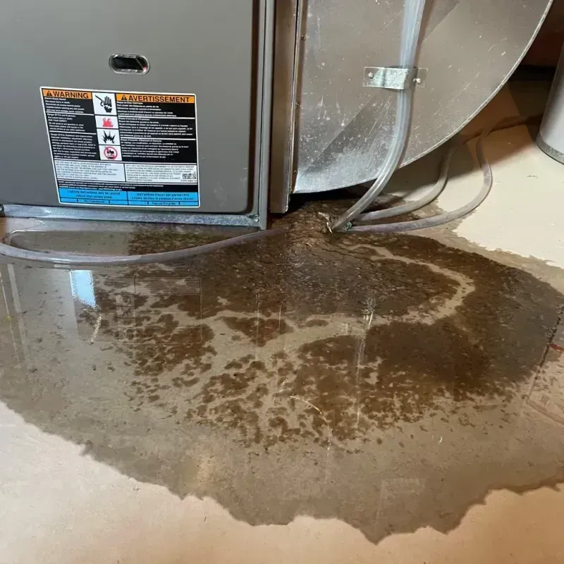 Appliance Leak Cleanup in Rapids, NY